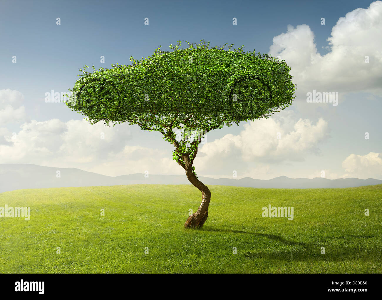 Baum in Form des Autos in ländlichen Landschaft getrimmt Stockfoto