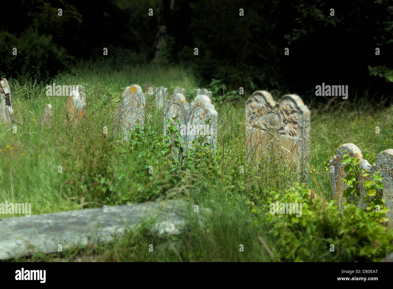 ungepflegte überwucherten Grabsteinen auf dem Kirchhof von Str. Marys Kirche in Selborne Stockfoto