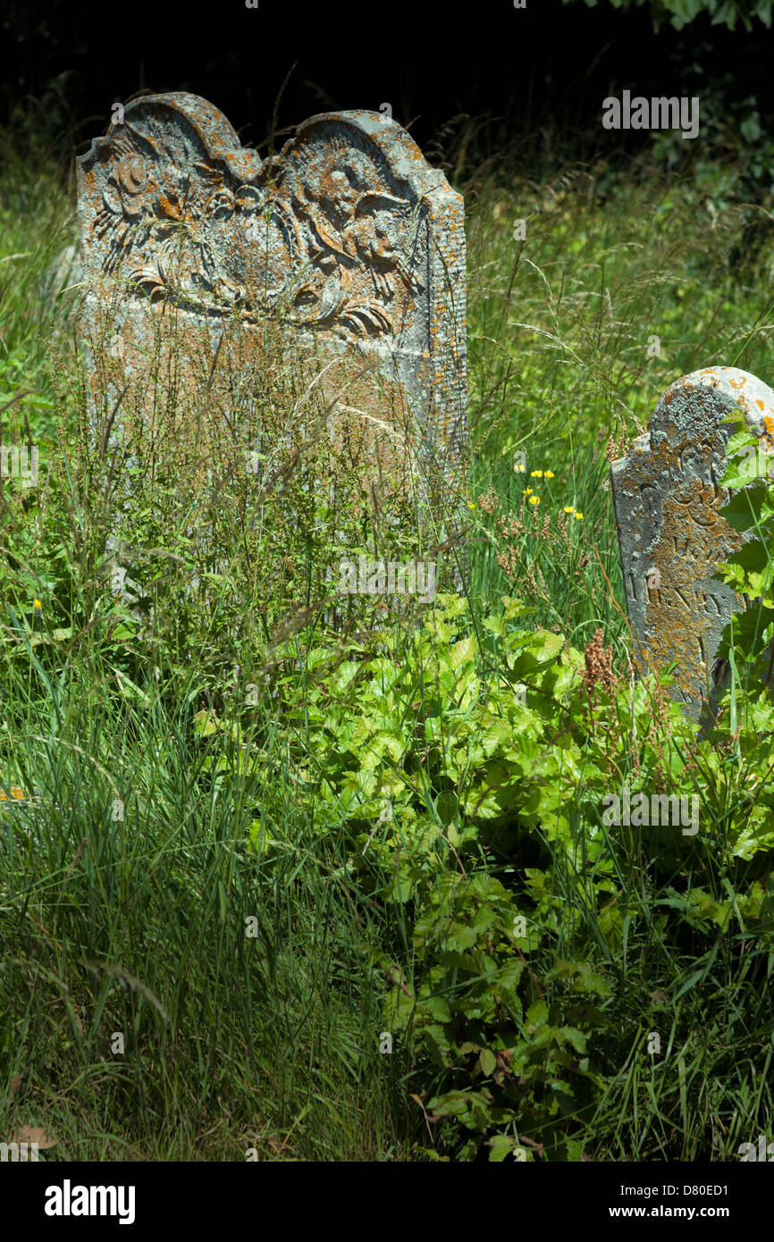 ungepflegte überwucherten Grabsteinen auf dem Kirchhof von Str. Marys Kirche in Selborne Stockfoto