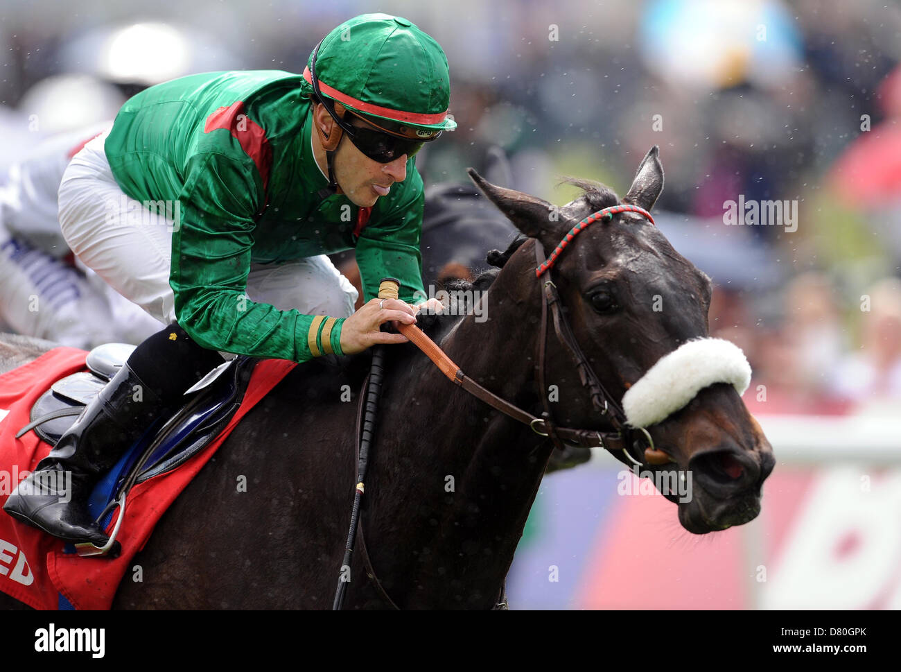 DALKALA GERITTEN durch C.P.LEMAIRE Einsätze BETFRED MIDDLETON YORK RACECOURSE YORK ENGLAND 16. Mai 2013 Stockfoto