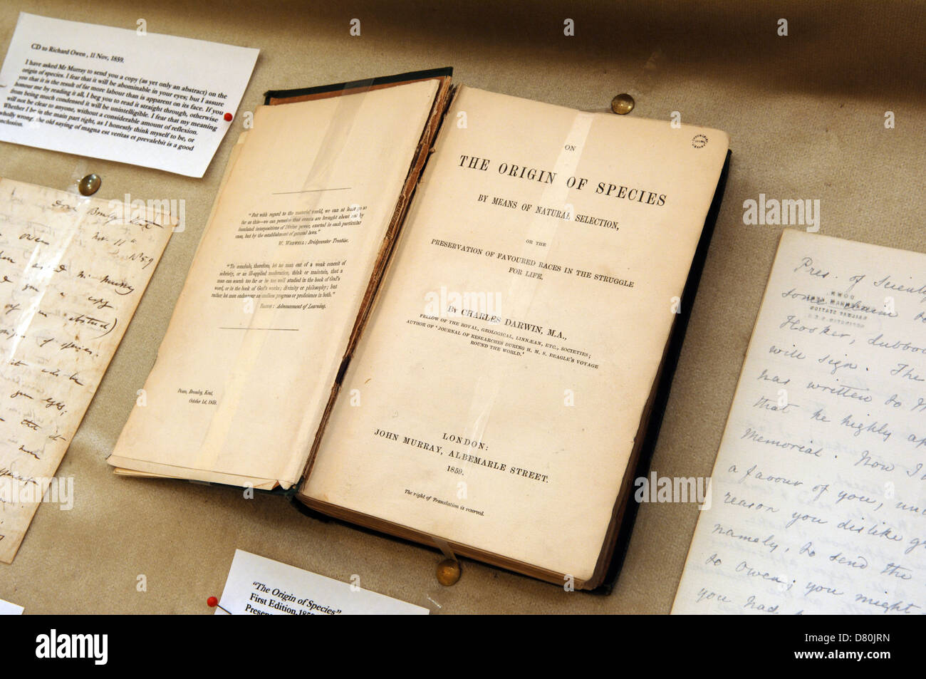 Erstausgabe (1859) von "On The Origin Of Species" von Charles Darwin in Shrewsbury School Bibliothek. Darwin war ein ehemaliger Schüler. Stockfoto