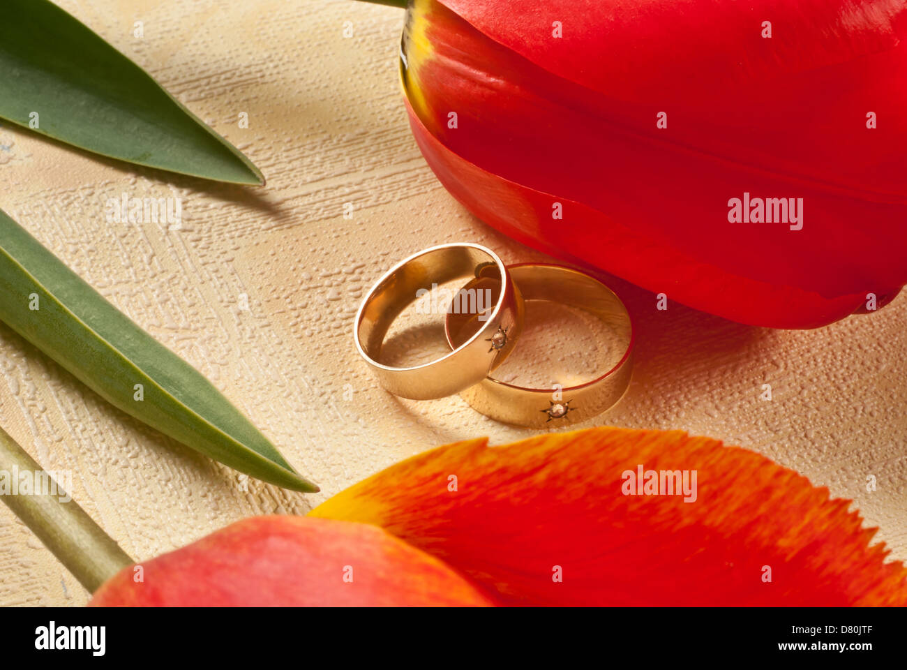 Trauringe Stockfoto