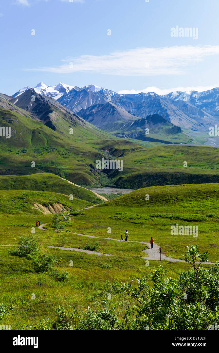 Wanderer und Ansicht südlich von Alaska Range, Eielson Visitor Center, Denali National Park, Alaska, USA Stockfoto