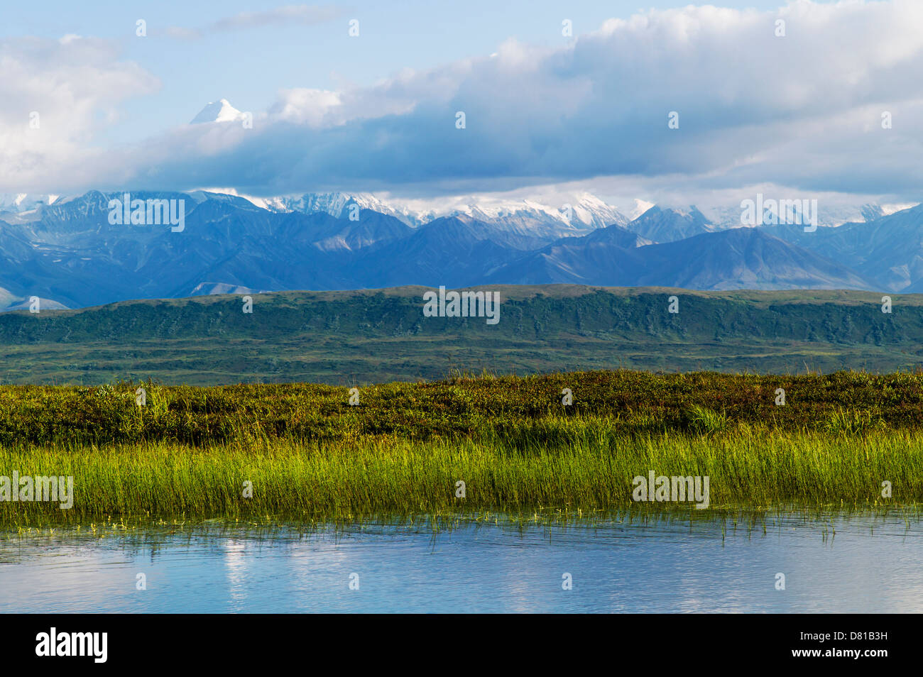 Panoramablick über Alaska Range inklusive Mt. McKinley (Denali Berg) aus Reflexion Teich, Denali National Park, Alaska, USA. Stockfoto