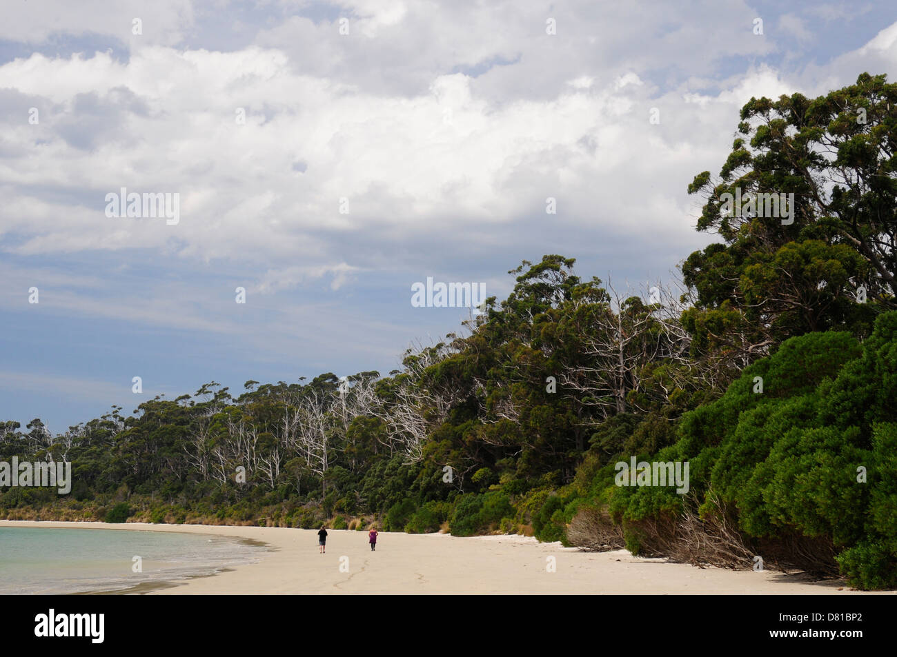 Wandern entlang dem Strand bei Recherche Bay, Southwest-Nationalpark in Tasmanien Stockfoto