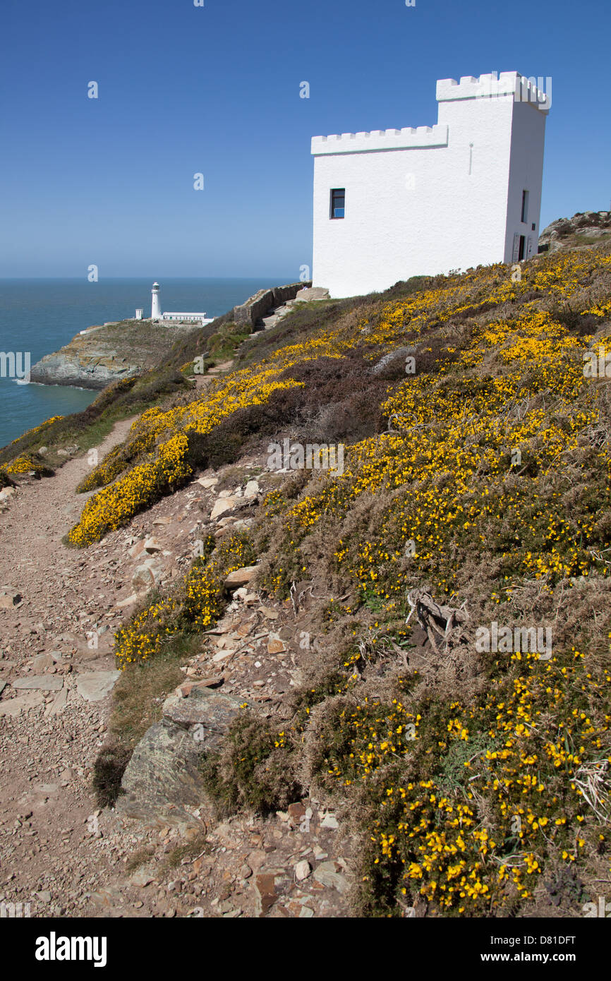 Wales Küstenweg in Nord-Wales. Malerische Aussicht auf die RSPB Ellin Turm mit South Stack Leuchtturm im Hintergrund. Stockfoto