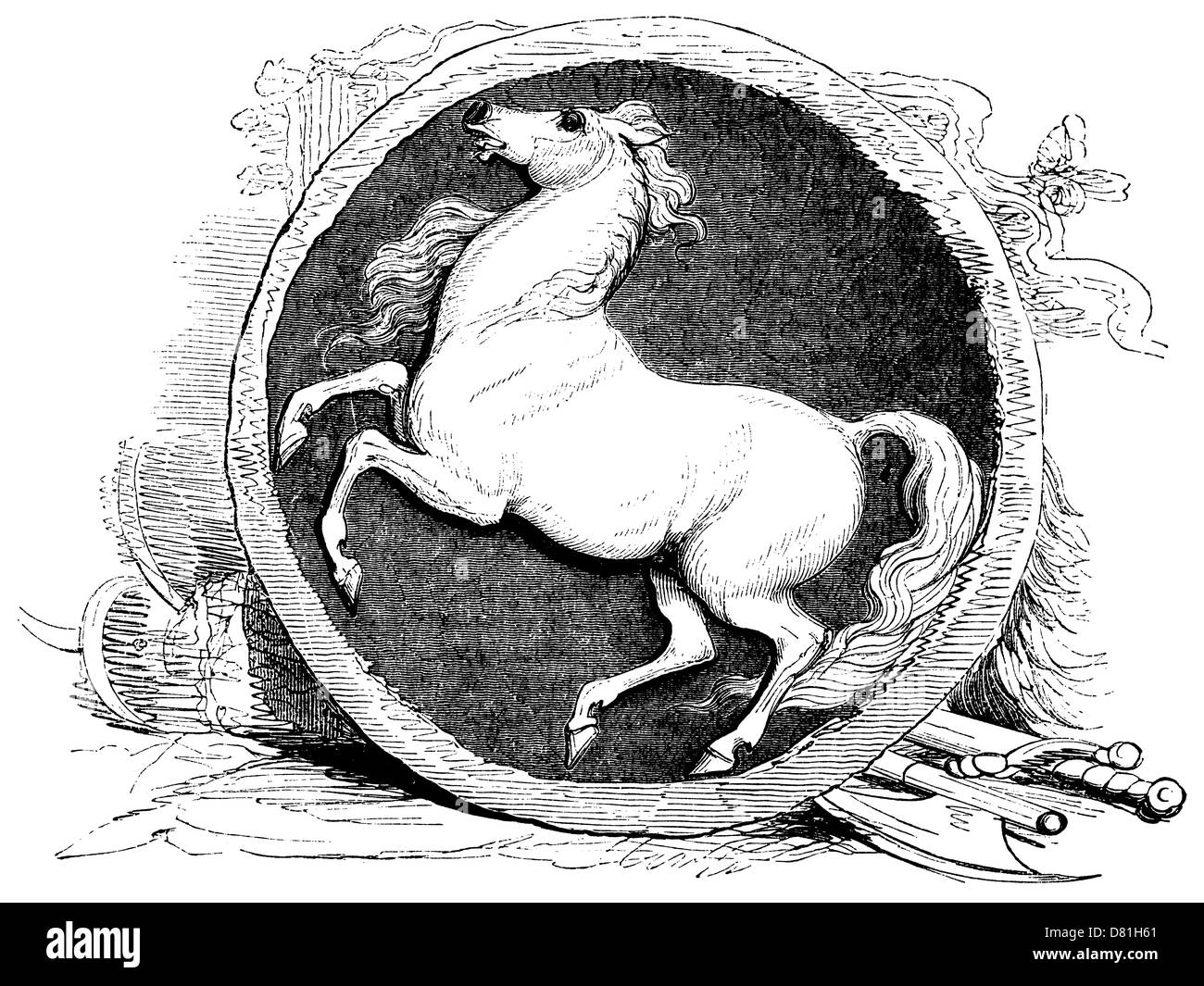 Standard des weißen Pferdes [Alter Stich] Stockfoto