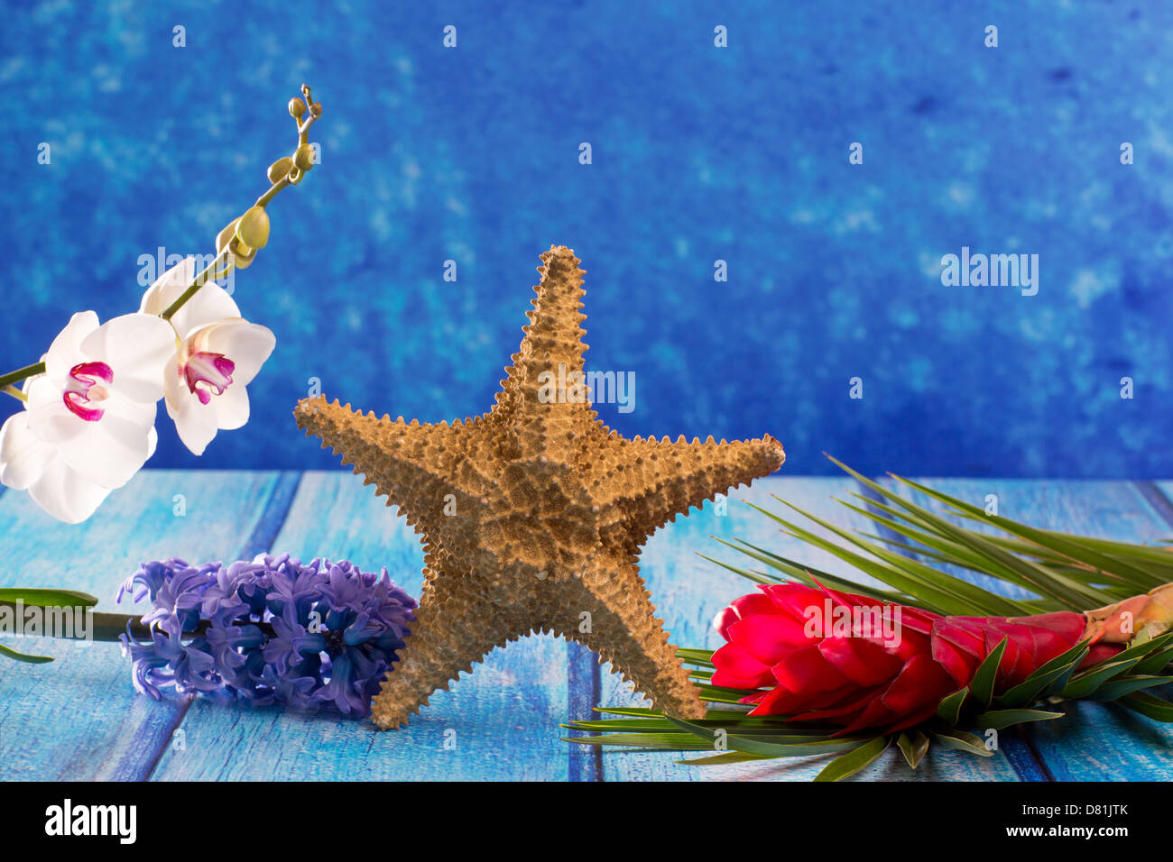 Seestern mit Hyazinthe Blüte und weiße Orchidee auf blauem Hintergrund Holz Stockfoto