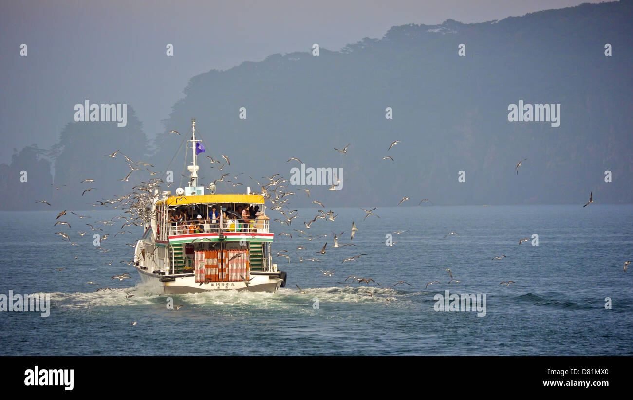 Touristen an Bord Sightseeing Kreuzfahrt rund um Jodogahama Fütterung eine Herde von fliegenden Möwen, auf hoher See Stockfoto