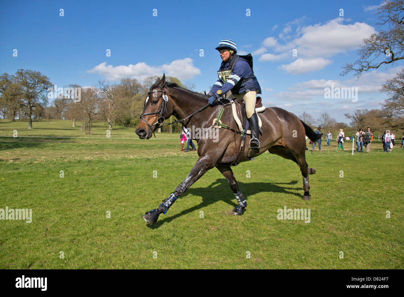 Clare Lewis auf Sidnificant bei den 2013 Mitsubishi Motors Badminton Horse trials Stockfoto