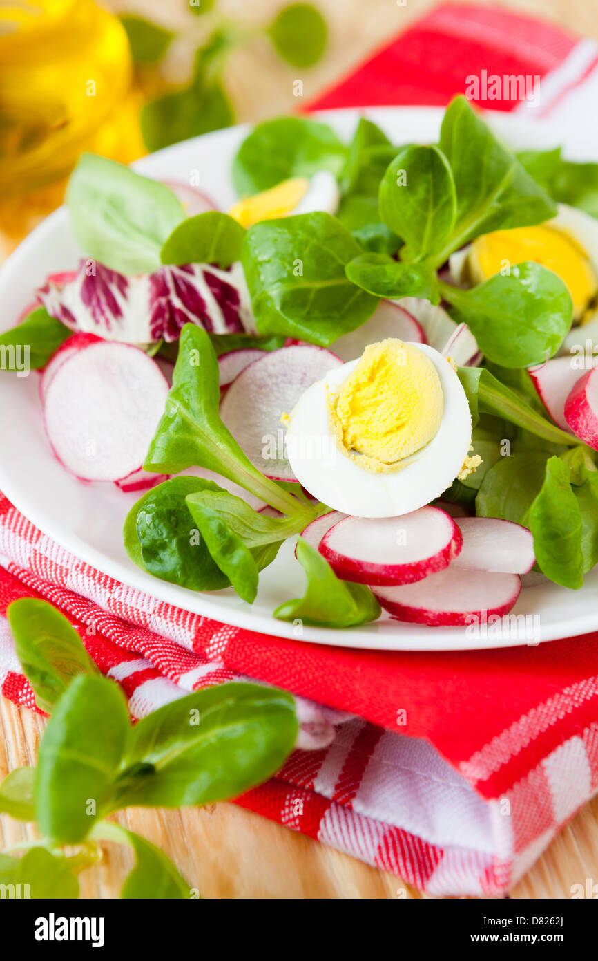 Frischer Salat, Radieschen und grünen, Eier, Essen Nahaufnahme Stockfoto