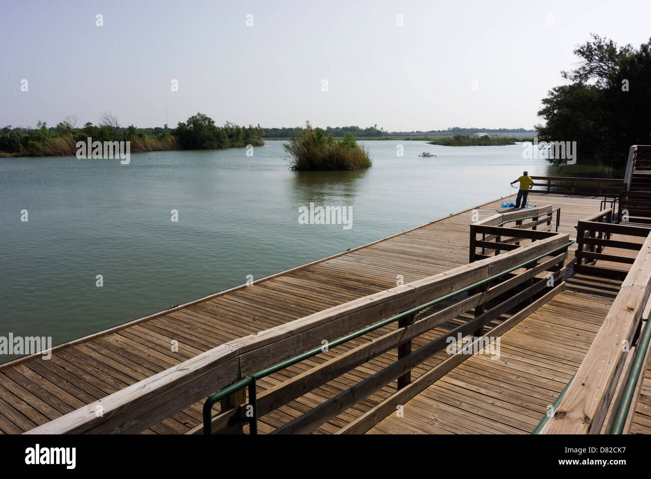 Mann wirft ein Fischernetz in den Rio Grande Fluss im Anzalduas Park in Mission, Texas. Stockfoto