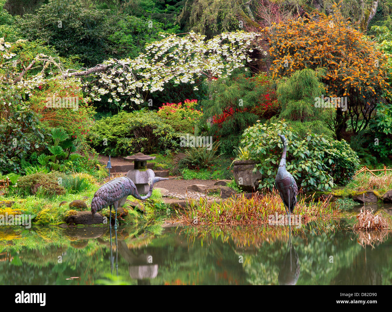 Teich und Frühling Blumen im Shore Acres State Park. Oregon. Stockfoto