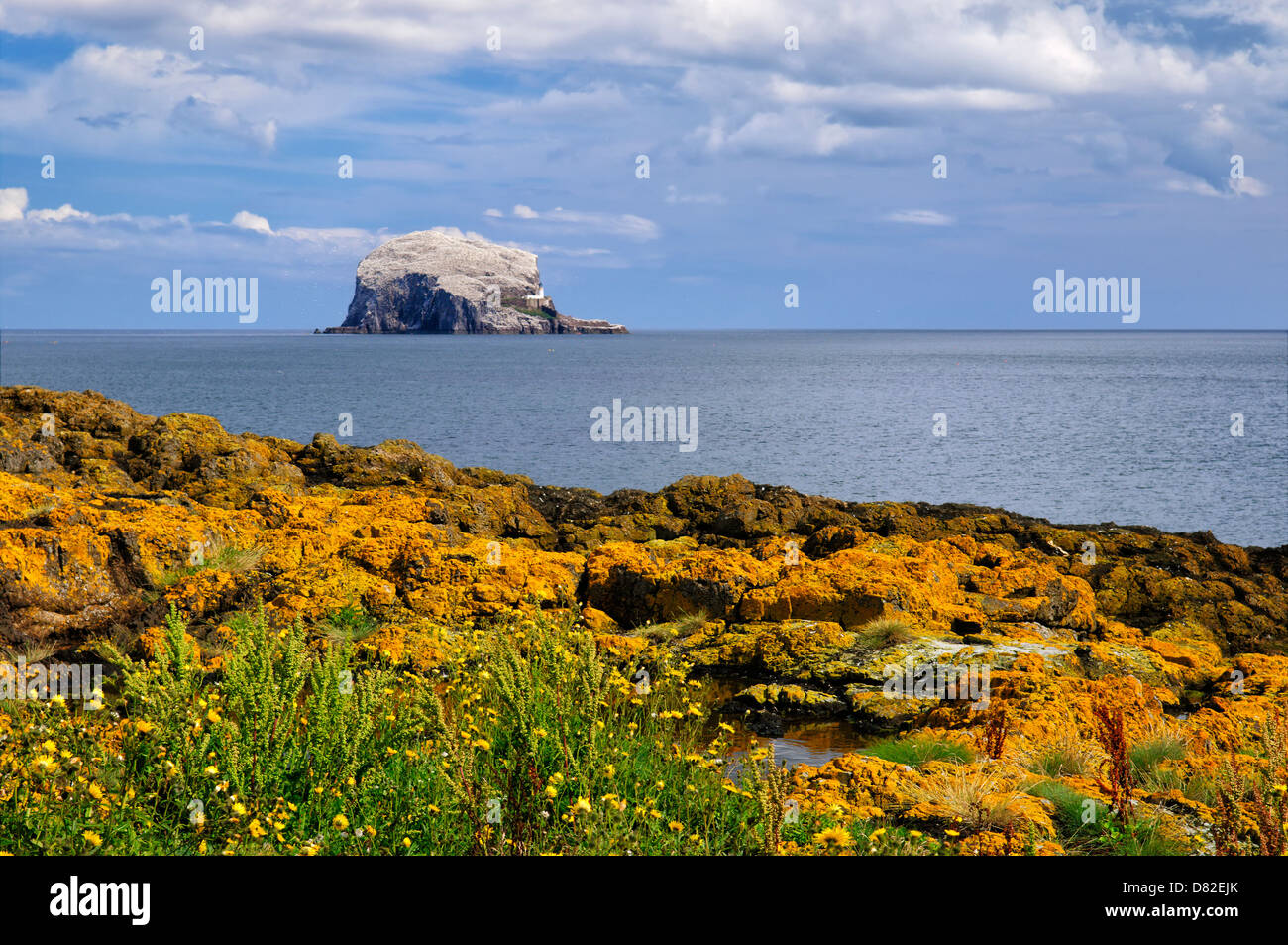 Bass Rock, Heimat einer großen Tölpelkolonie, in der Nähe von North Berwick, East Lothian, Schottland, Vereinigtes Königreich, Europa Stockfoto