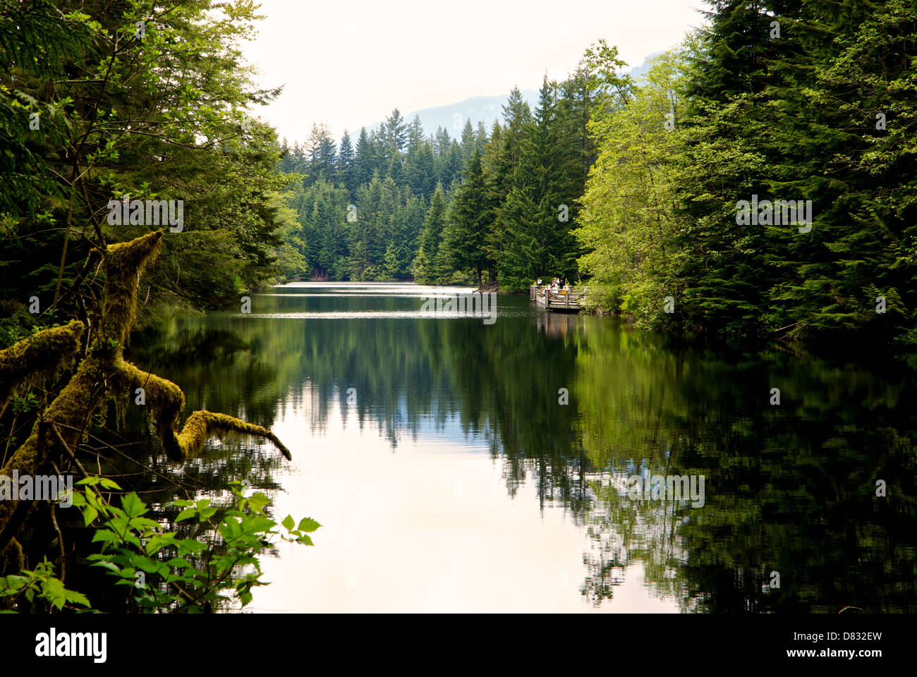 Angeln in der Stadt Gewässer Rice Lake North Metro Vancouver niedriger Seymour Conservation Reserve Stockfoto