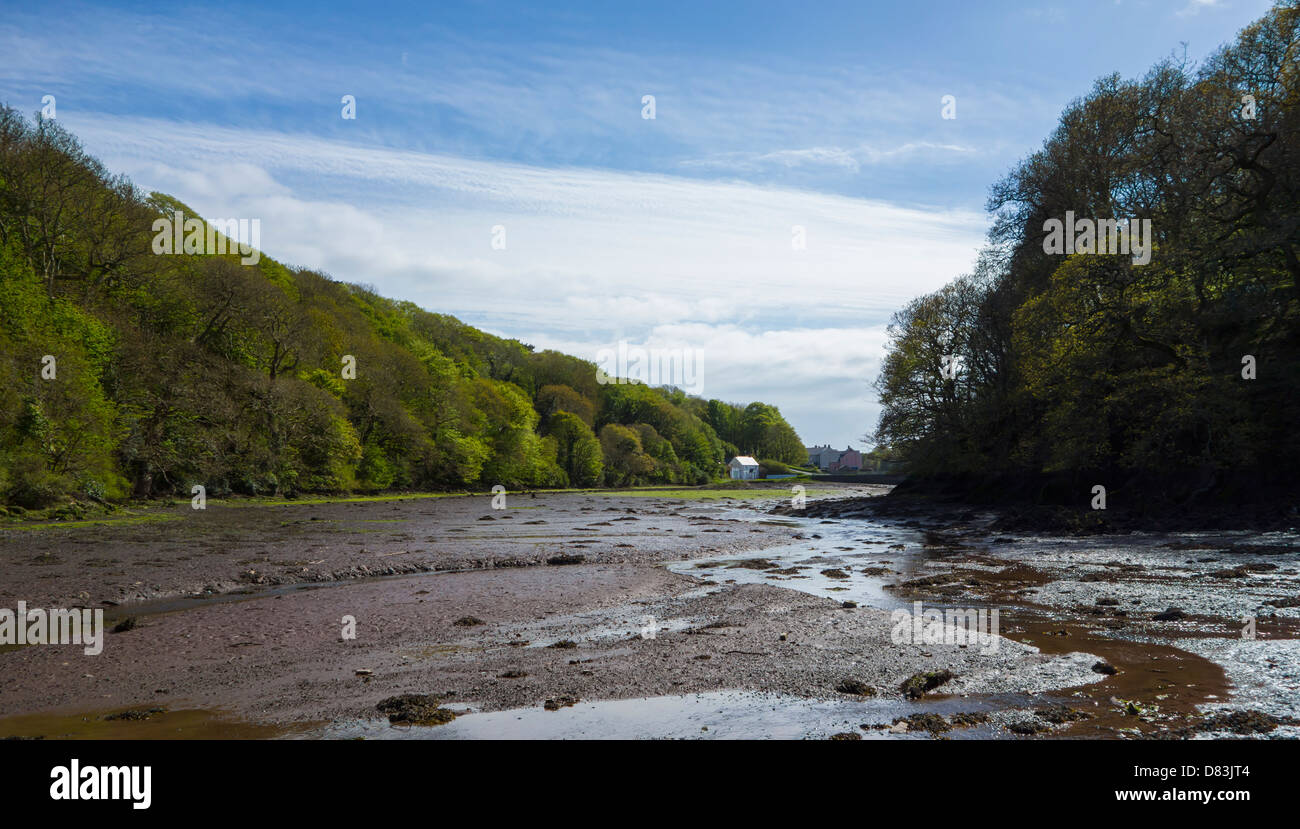 Blick auf die Burg Pille-Mündung bei Ebbe, zeigt das Wattenmeer. Milford Haven, Pembrokeshire. Stockfoto