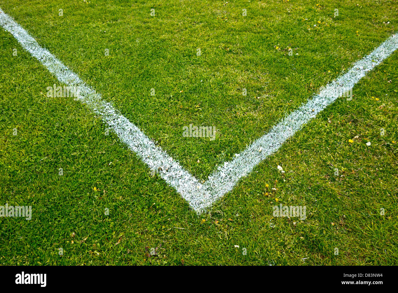 Football pitch lines Fotos und Bildmaterial in hoher Auflösung Alamy
