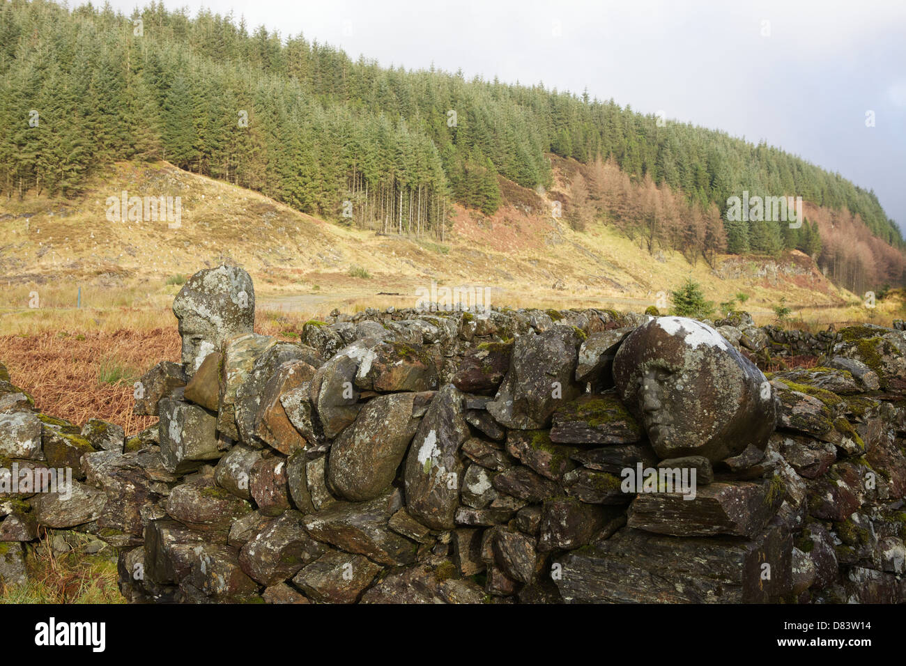 Stein gemeißelt menschliche Gesichter eingebettet in einem trockenen Stein Deich von Matt Baker, Galloway Forest Park, Dumfries & Galloway, Schottland. Stockfoto