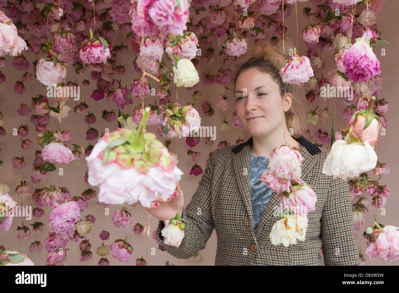 Samstag, 18. Mai 2013, London, UK. Pflanzung und Bauarbeiten weiterhin für die Chelsea Flower Show 2013 vor seiner Eröffnung nächste Woche. Im Bild: Floraldesigner Rebecca Louise Law mit Pfingstrosen Display. Foto: Nick Savage/Alamy Live-Nachrichten Stockfoto