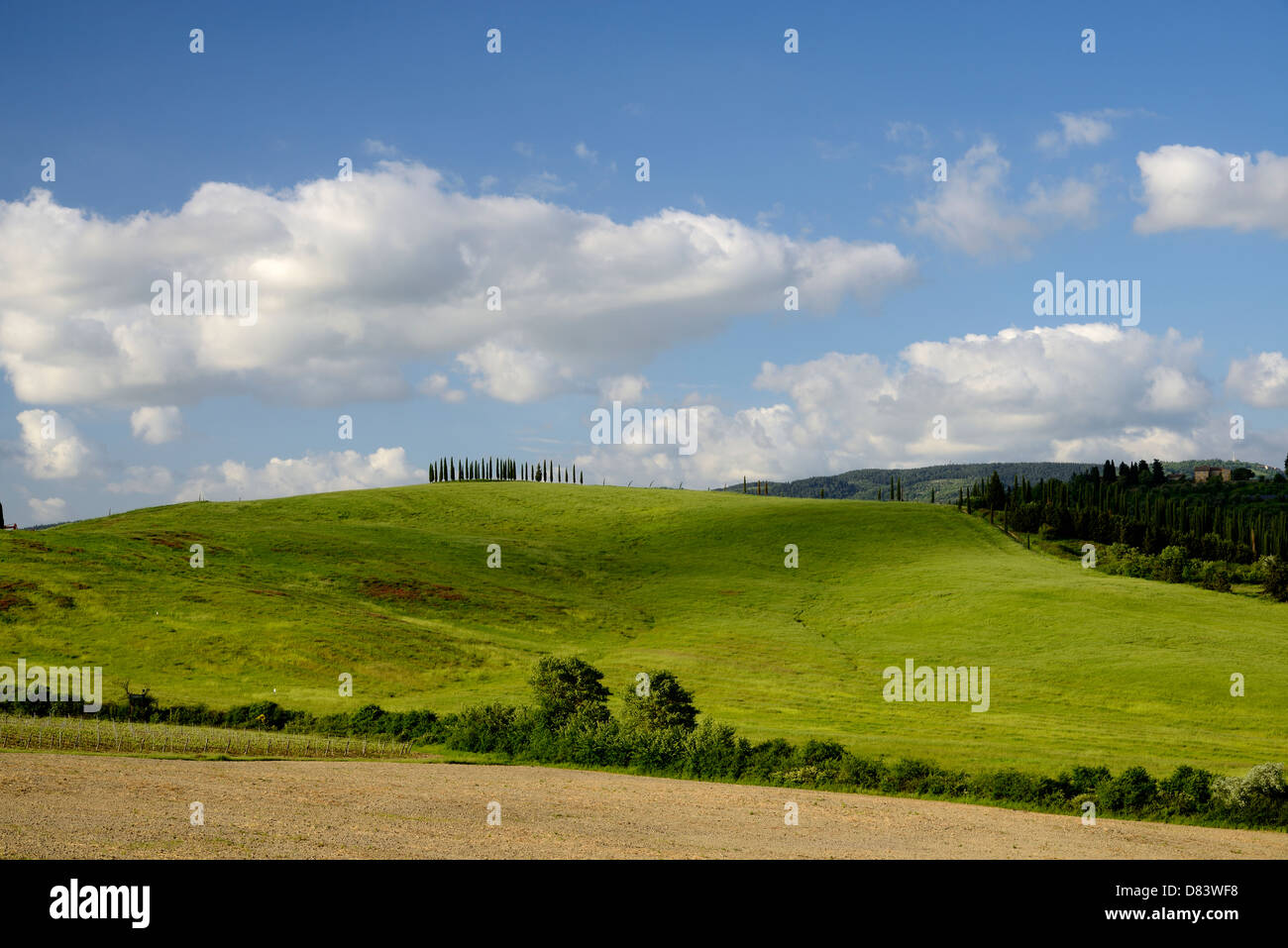 Ein Bild Ofa typisch toskanischen Landschaft Stockfoto