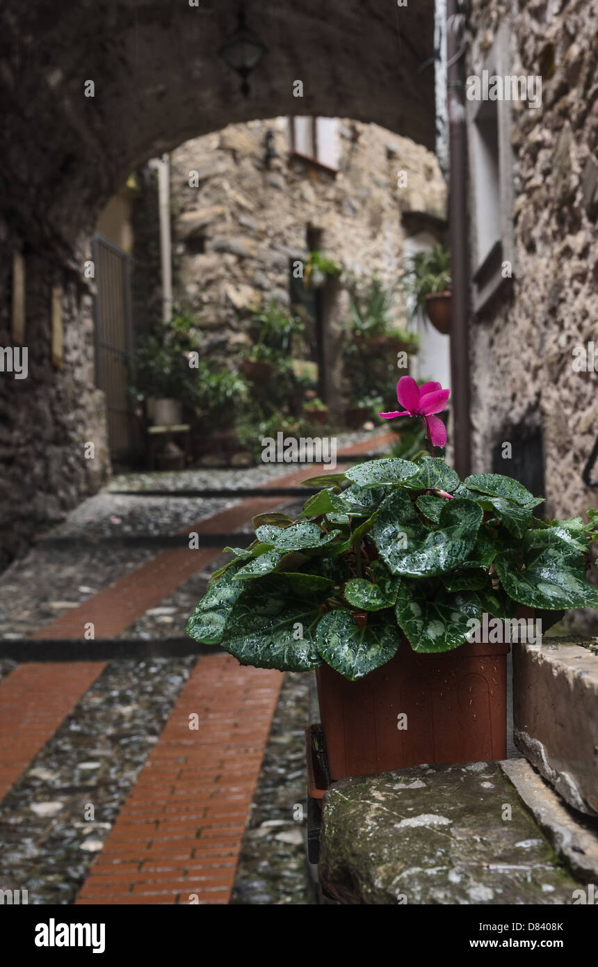 Regen in Dolceacqua ist eine malerische mittelalterliche Stadt in der Provinz Imperia, Ligurien, Italien Stockfoto