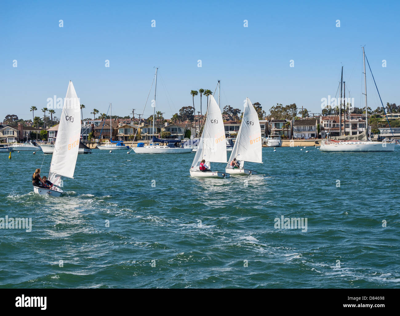 Segelklasse in Newport Beach. Stockfoto