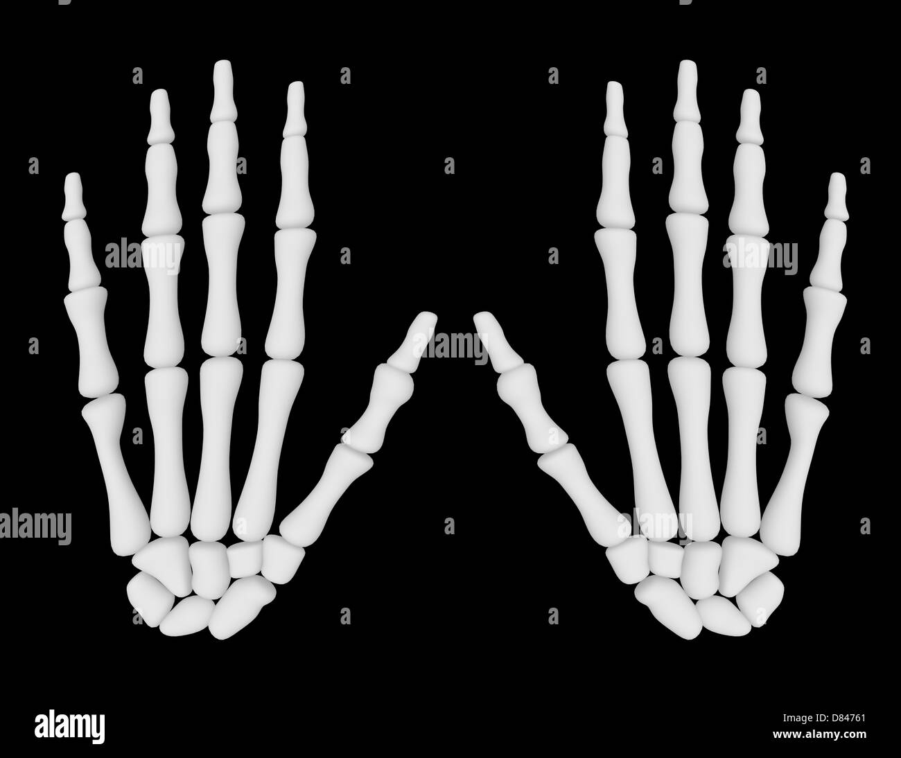 3D Render von ein paar Skelett Hände Stockfoto