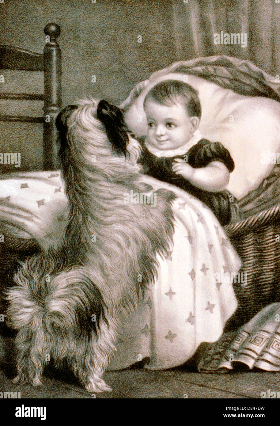 Guten Morgen! kleinen Liebling. Hund auf Hinterbeinen Baby sitzend in Wicker Krippe betrachten. um 1870 Stockfoto