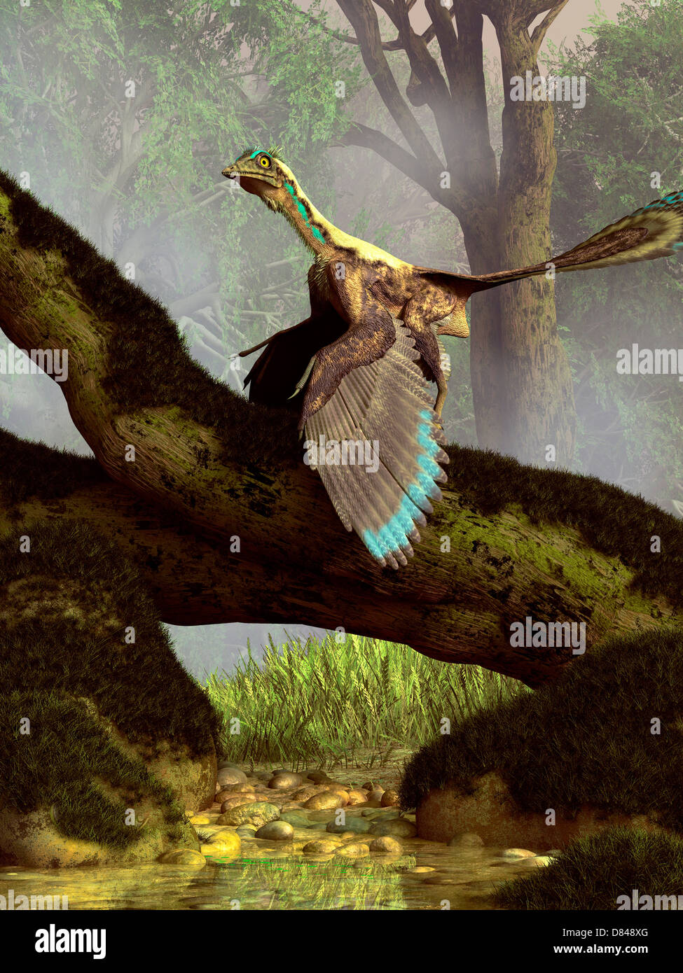 Archaeopteryx Fotos und Bildmaterial in hoher Auflösung Alamy