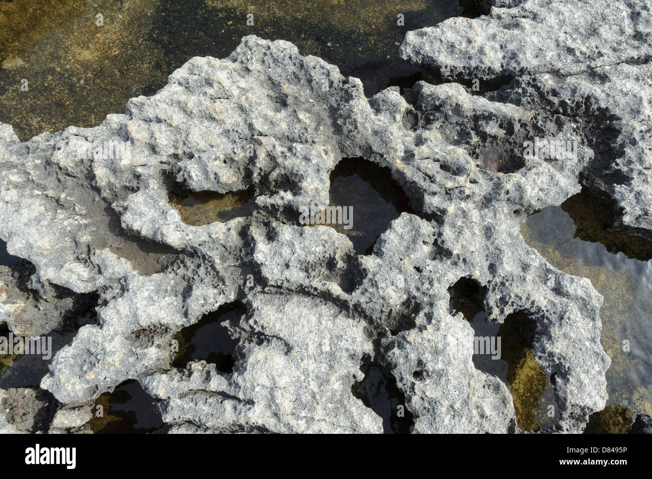 Küste in der Nähe von Azure Window in der Dwejra Bay auf Gozo, Malta Stockfoto