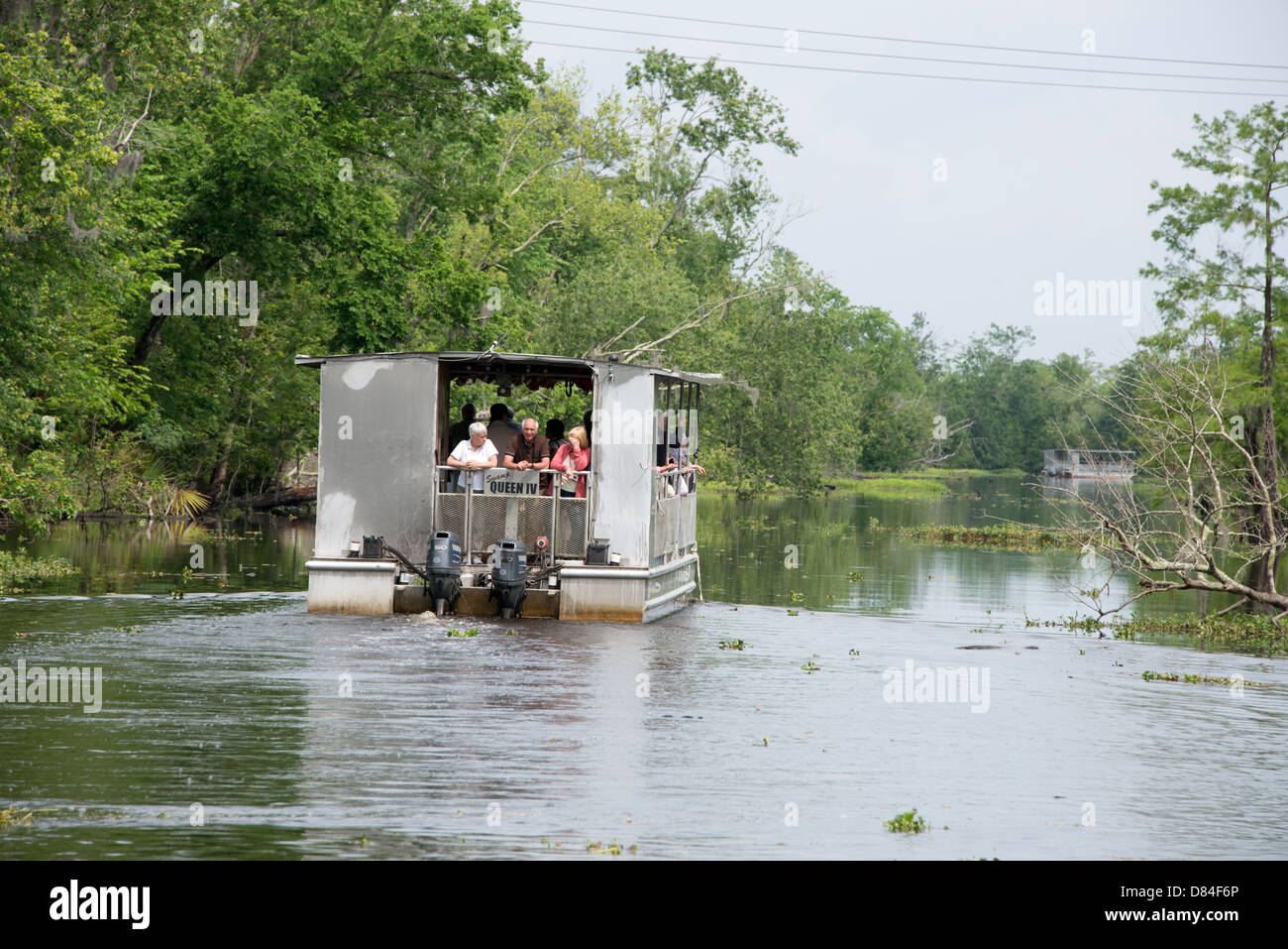 Louisiana, New Orleans, Lafitte. Jean Lafitte nationaler historischer Park - Barataria Preserve. Sümpfe & Bayou Bootstour. Stockfoto