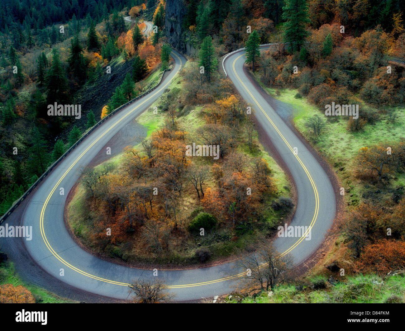 Kurvenreiche Straße mit Herbst Farben in der Columbia River Gorge National Scenic Area. Oregon Stockfoto