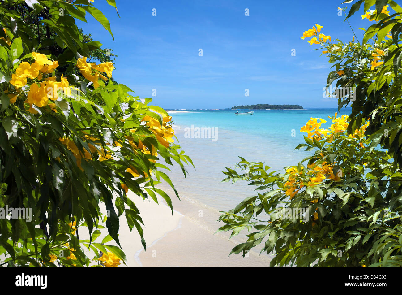 Blumen am Sandstrand mit türkisfarbenem Wasser und einer tropischen Insel im Hintergrund, Karibik, Panama Stockfoto