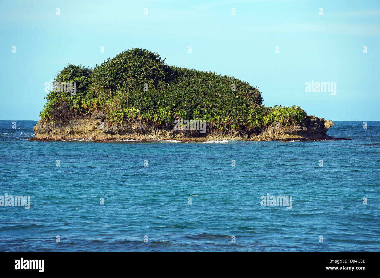 Felsige Insel bedeckt von tropischer Vegetation, Archipel Bocas del Toro, Bastimentos Island, Karibik, Panama Stockfoto