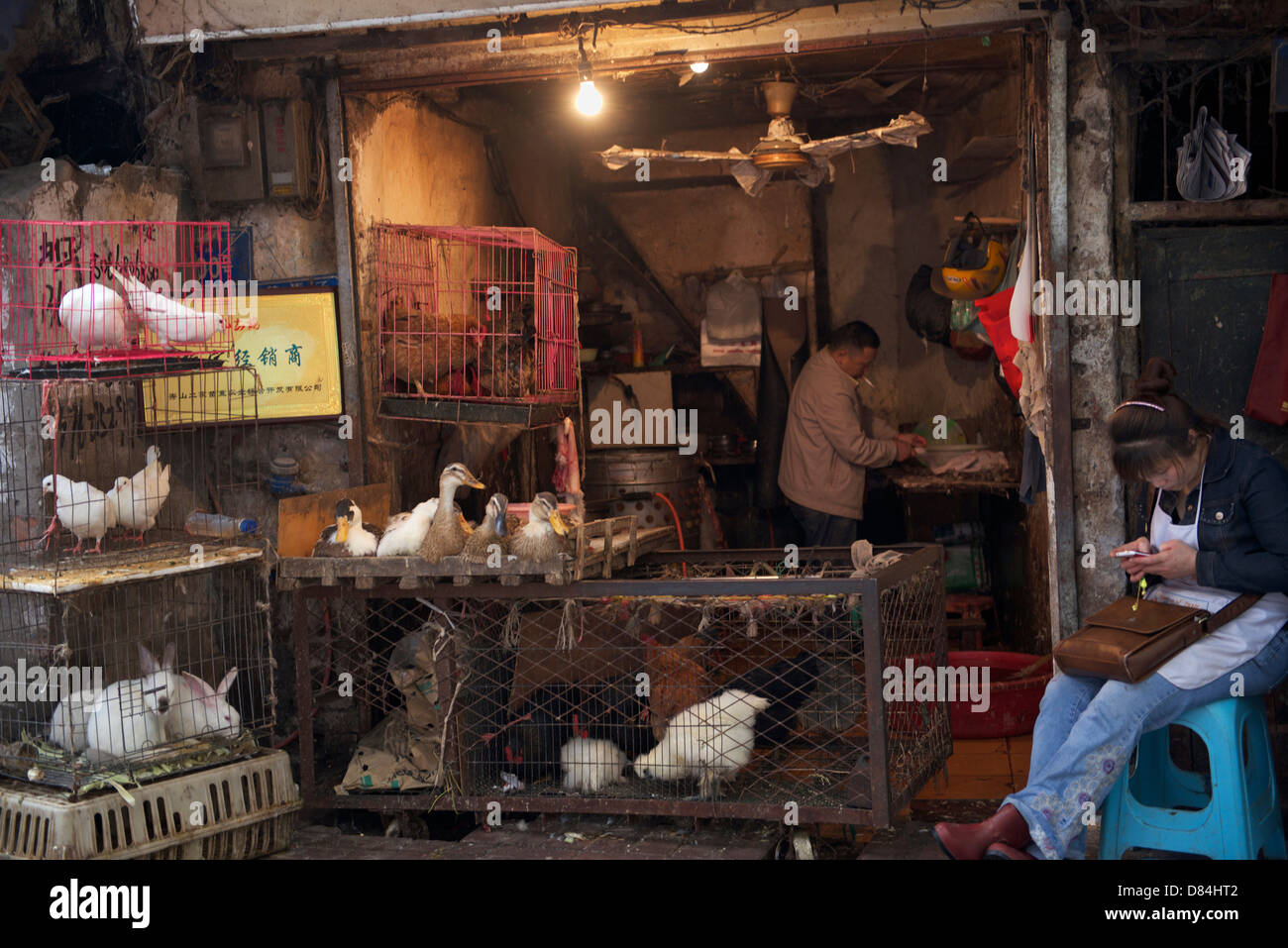 Lebendes Geflügel sind auf den Verkauf in Chongqing, China. 9. Mai 2013 Stockfoto