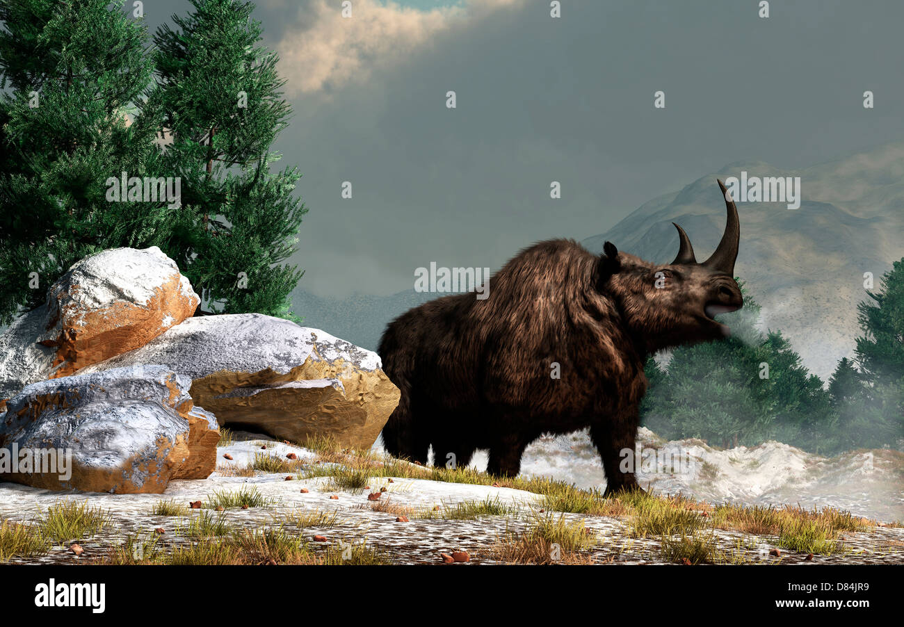 Wollnashorn im Schnee, Pleistocene Epoche. Stockfoto