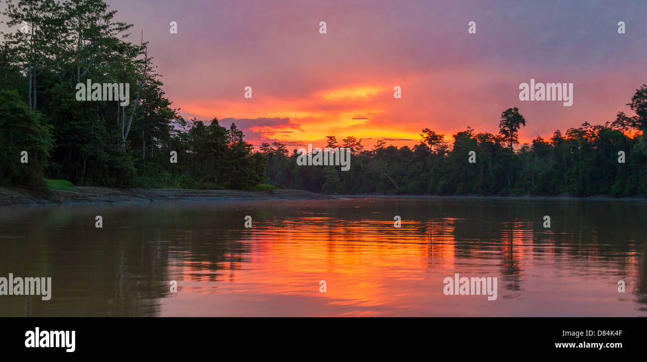 Sonnenuntergang am bewaldeten Ufer des Flusses Kinabatangan in Sabah Borneo Stockfoto