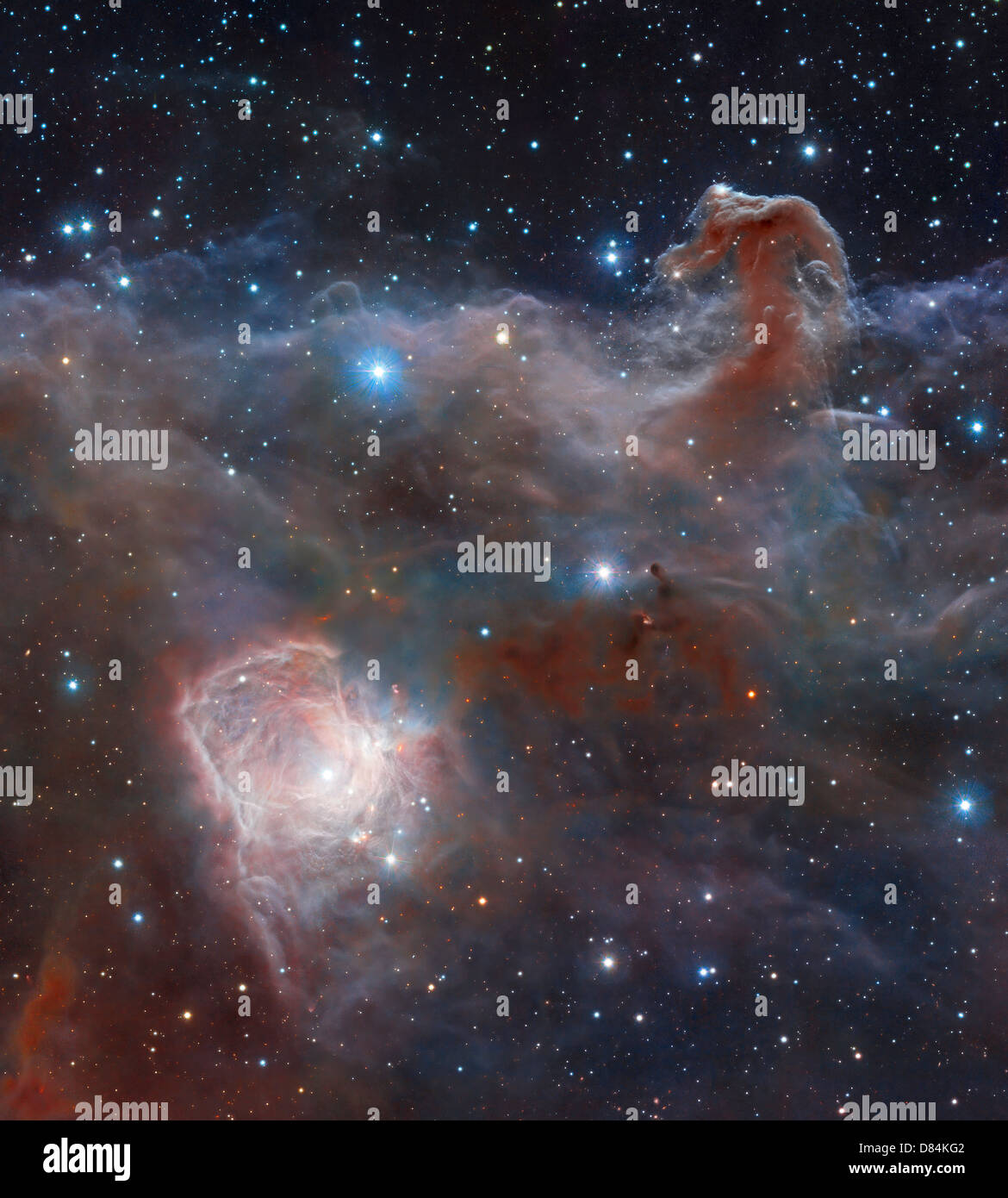 Der Sternentstehungsregion NGC 2024 im Sternbild Orion. Stockfoto
