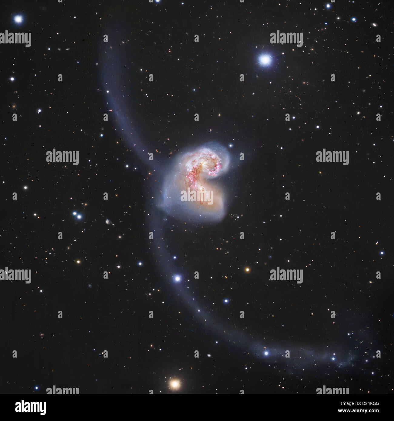 Die Antennen-Galaxien im Sternbild Corvus. Stockfoto