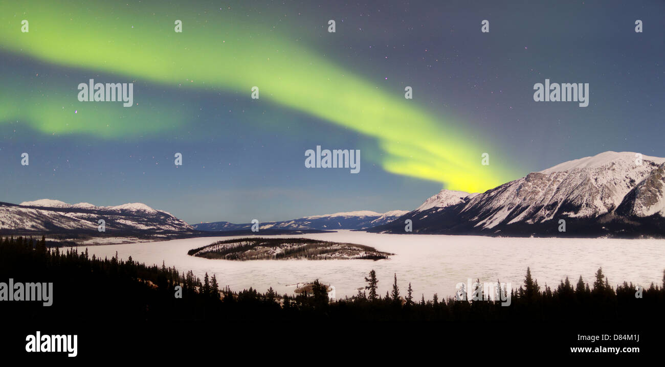 Aurora Borealis über Bove Insel, Windy Arm, Carcross, Yukon, Kanada. Stockfoto