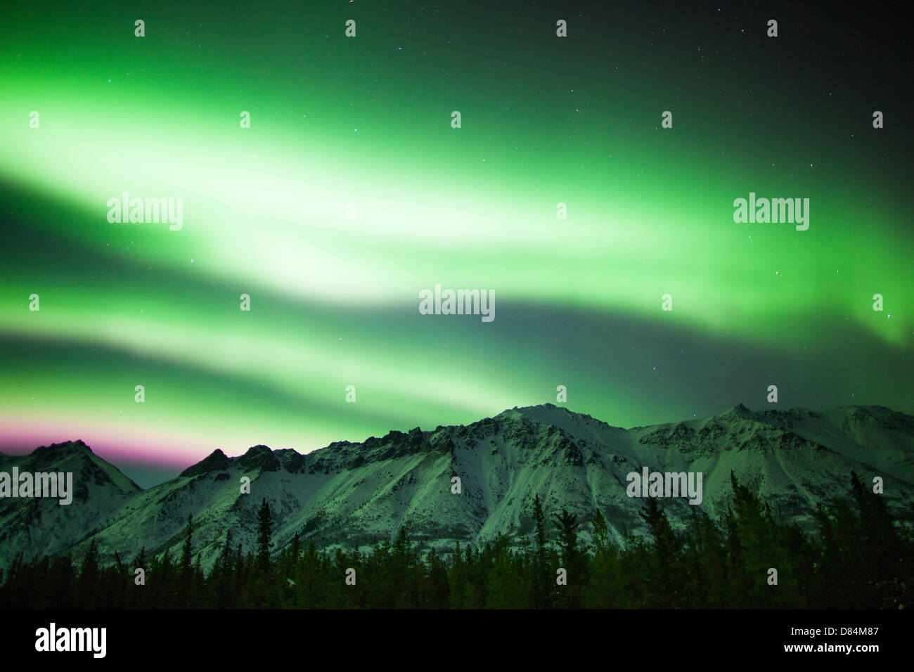 Hellen Aurora Borealis über Annie Lake, Yukonterritorium, Kanada. Stockfoto
