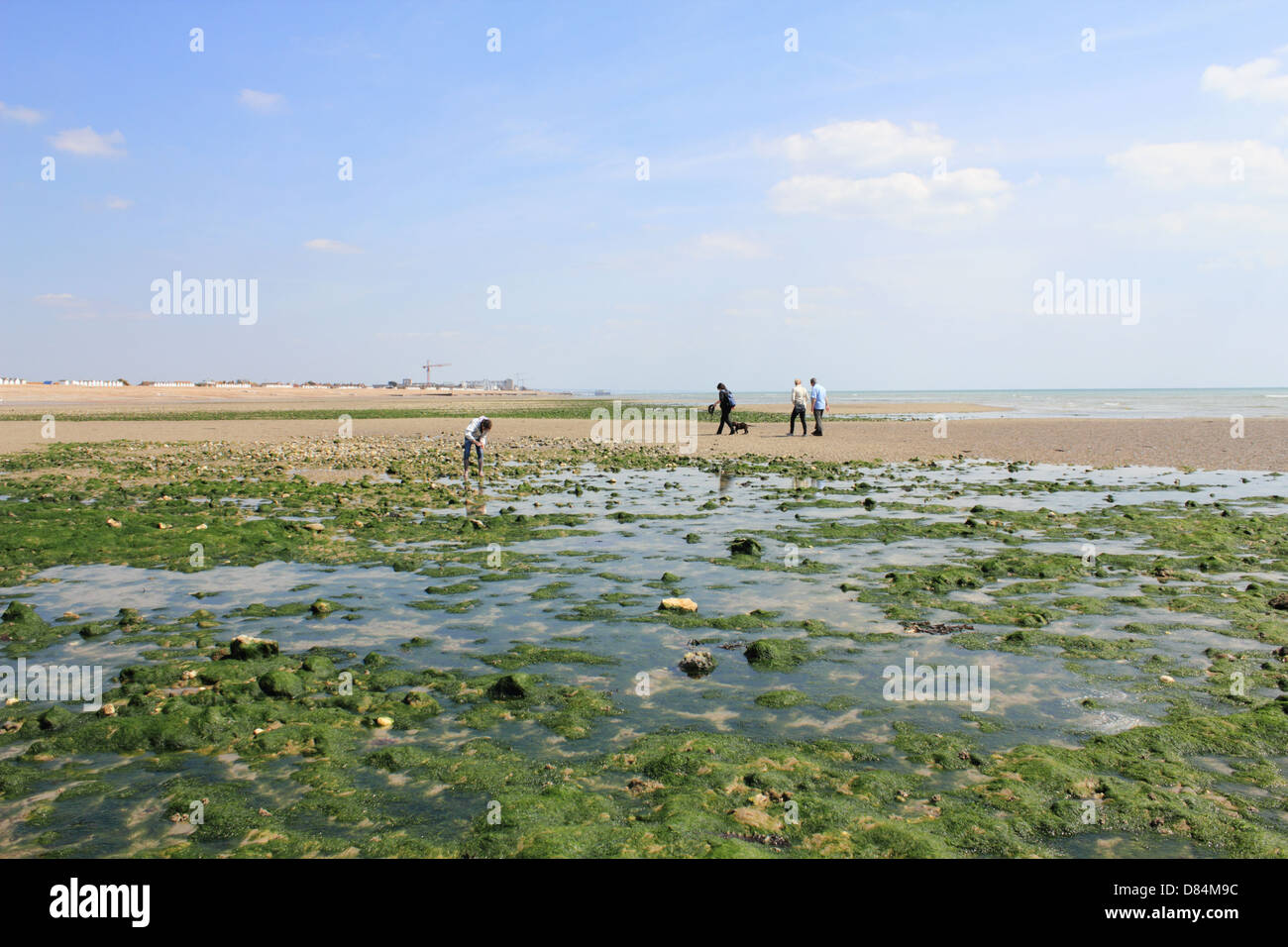 Goring-by-Sea, West Sussex, England UK Stockfoto