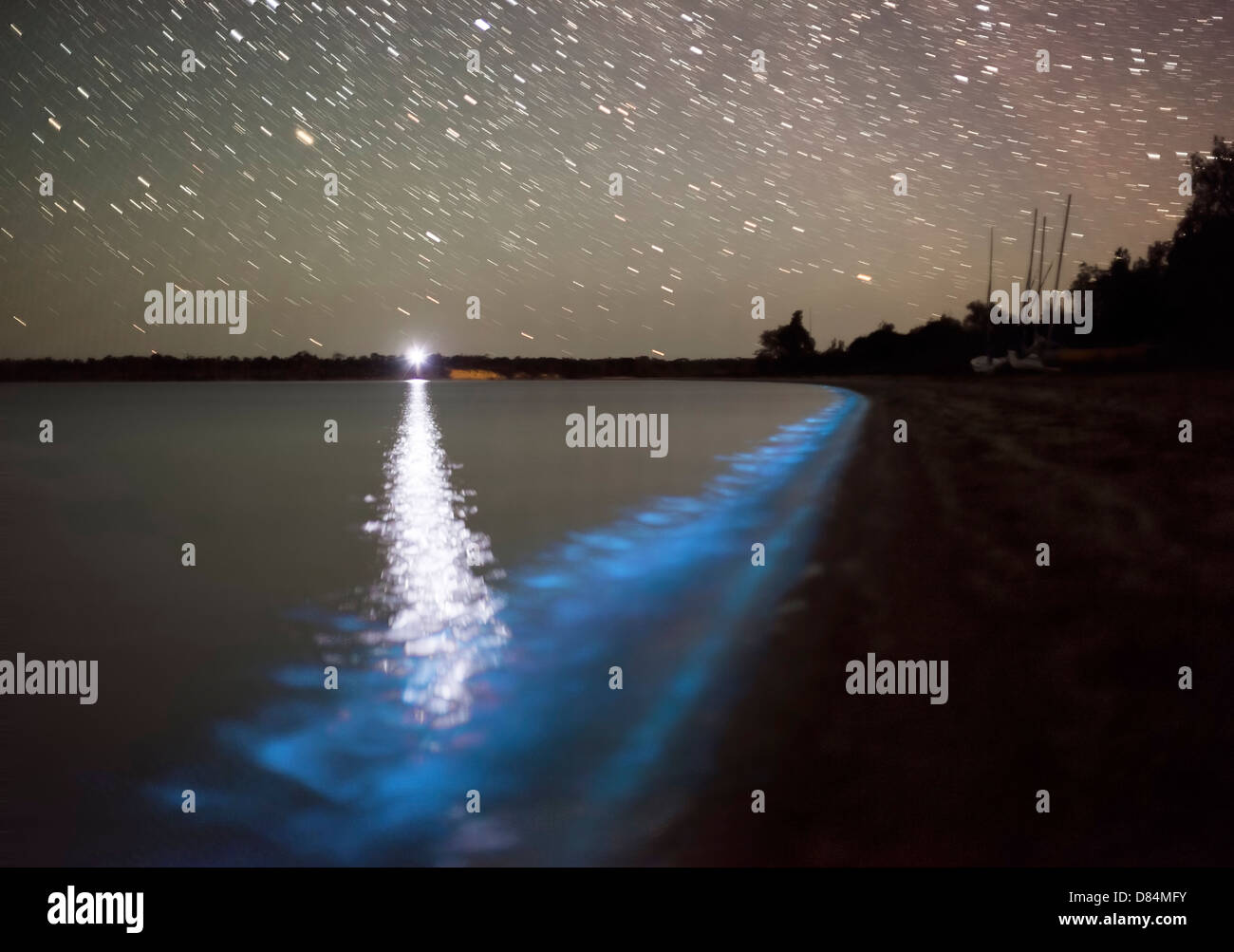 Sternspuren und Biolumineszenz in Gippsland Lakes, Victoria, Australien. Stockfoto