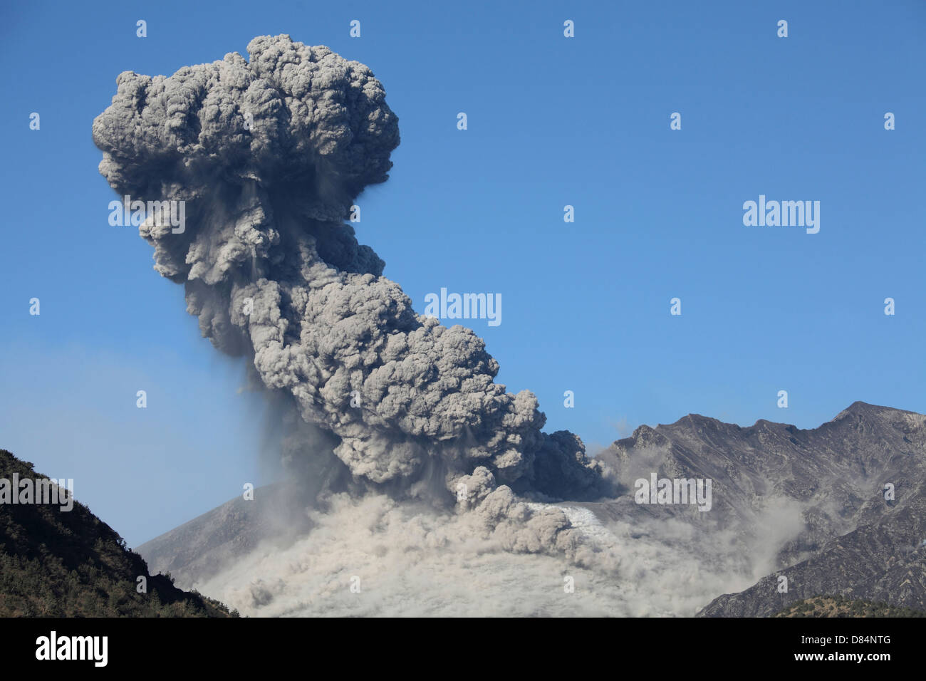 24. Februar 2013 - leistungsstarke explosive Eruption des Vulkans Sakurajima, Japan. Aschewolke steigt gegen blauen Himmel. Stockfoto