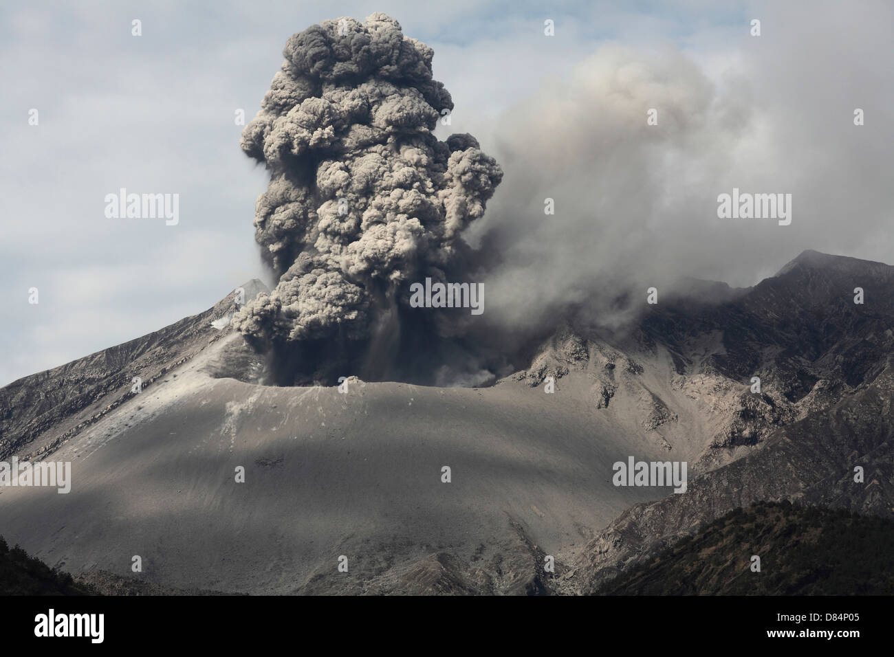 25. Februar 2013 - Explosive Eruption des Vulkans Sakurajima, Japan. Aschewolke steigt von Showa-Krater. Stockfoto