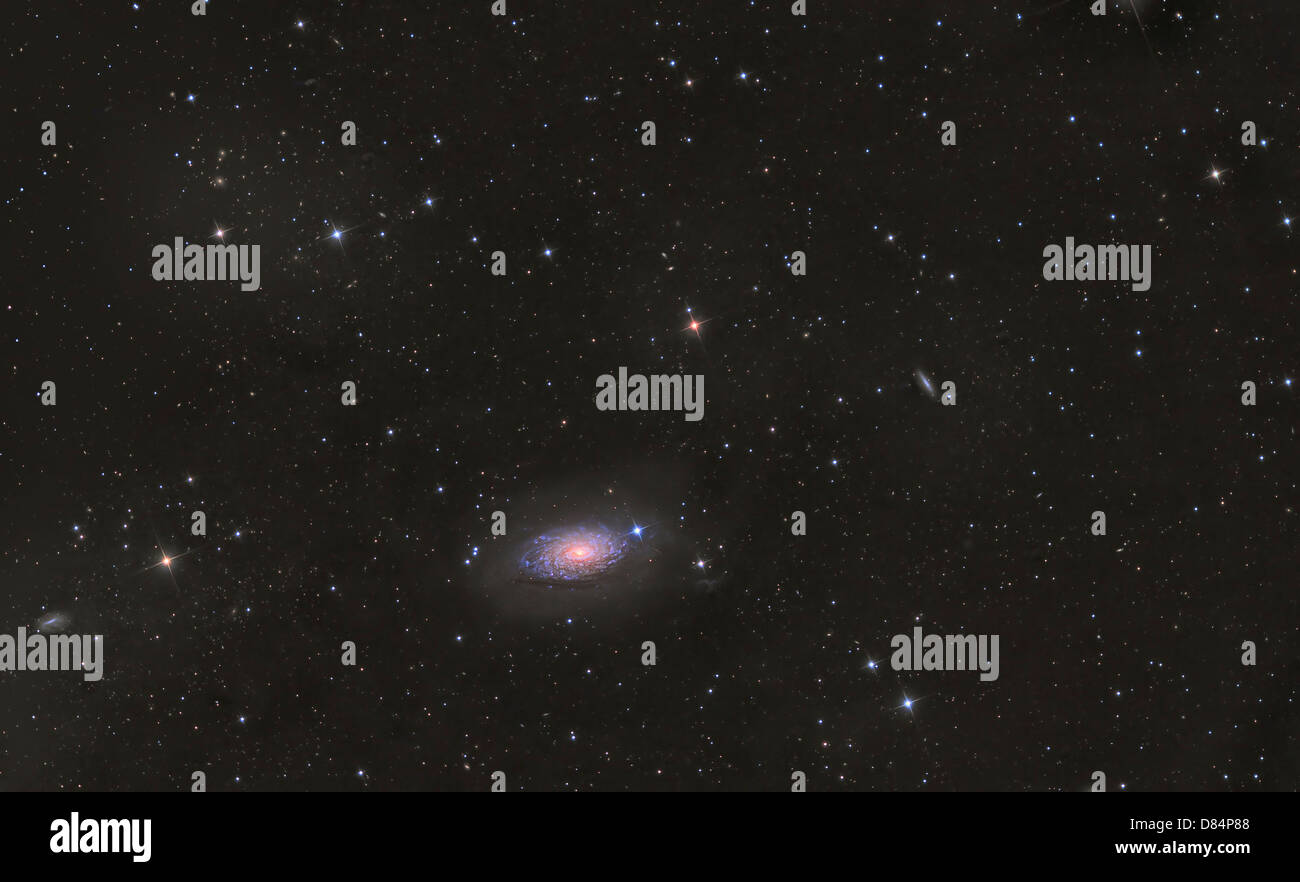 Die Sonnenblumen Galaxie Stockfoto