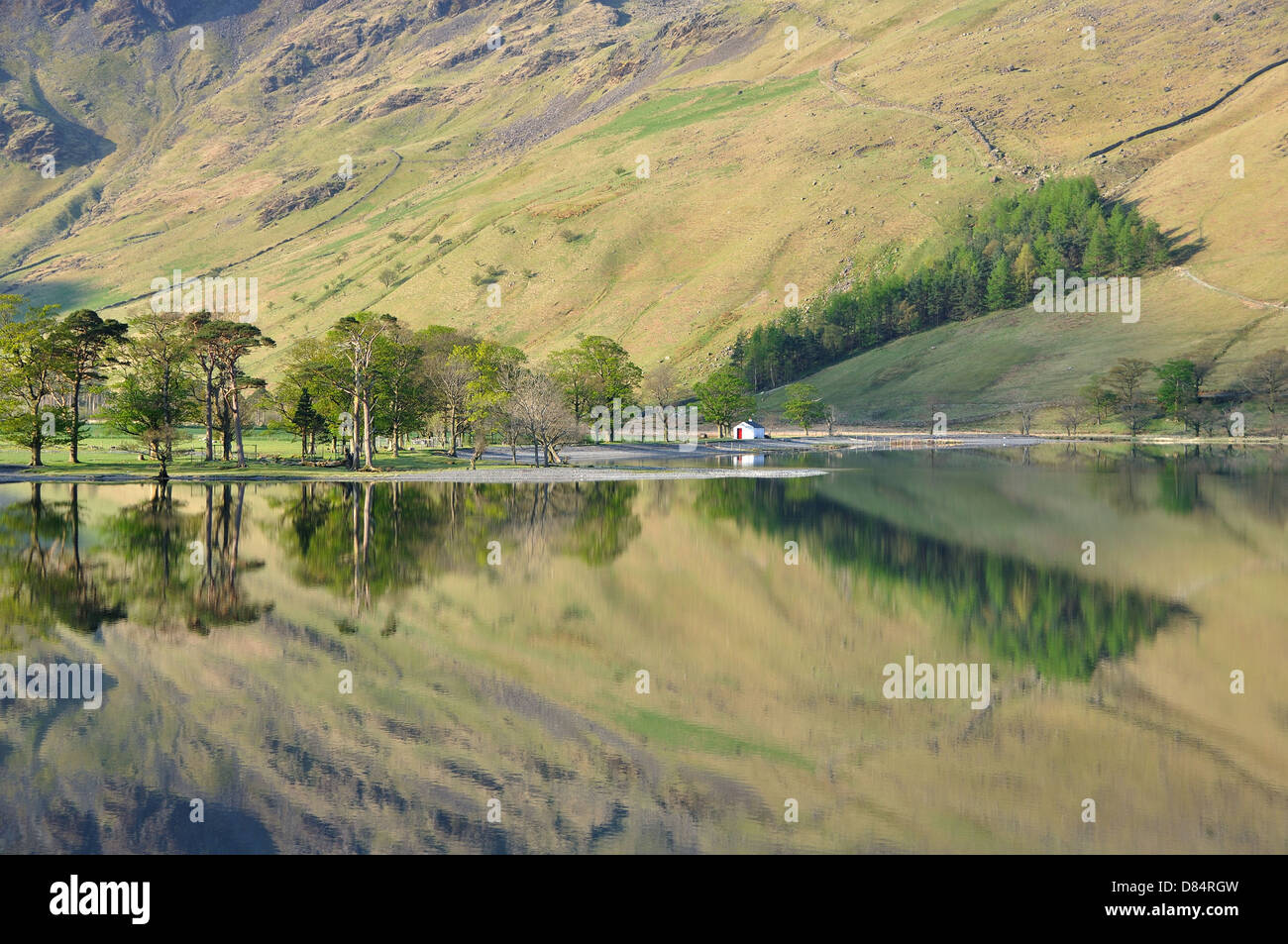 Seenplatte, Buttermere Reflexionen, frühen Frühlingsmorgen. Stockfoto