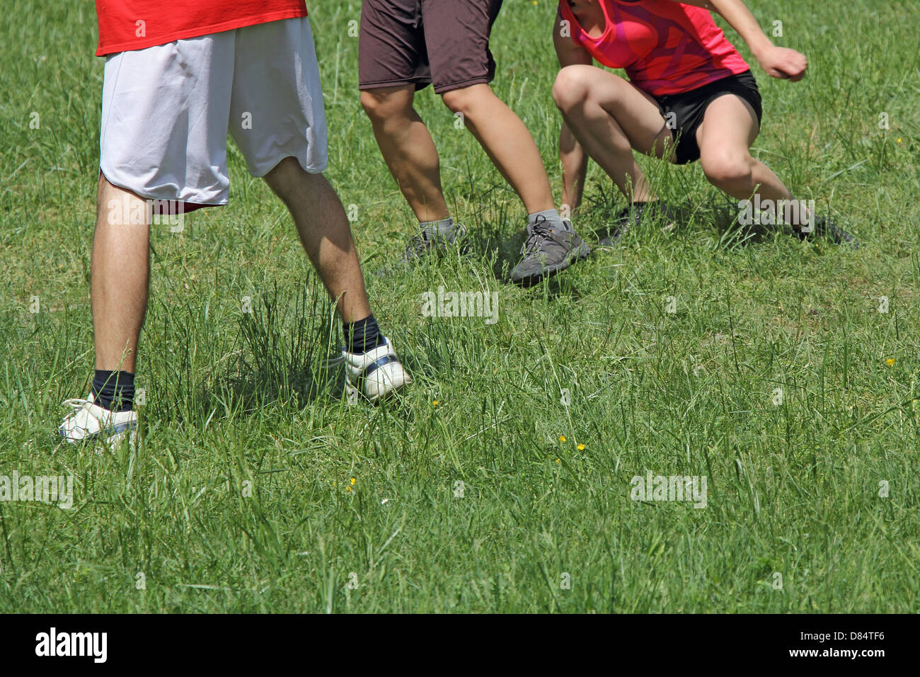 Jungen und Mädchen spielen in einer Wiese auf dem grünen Rasen Stockfoto