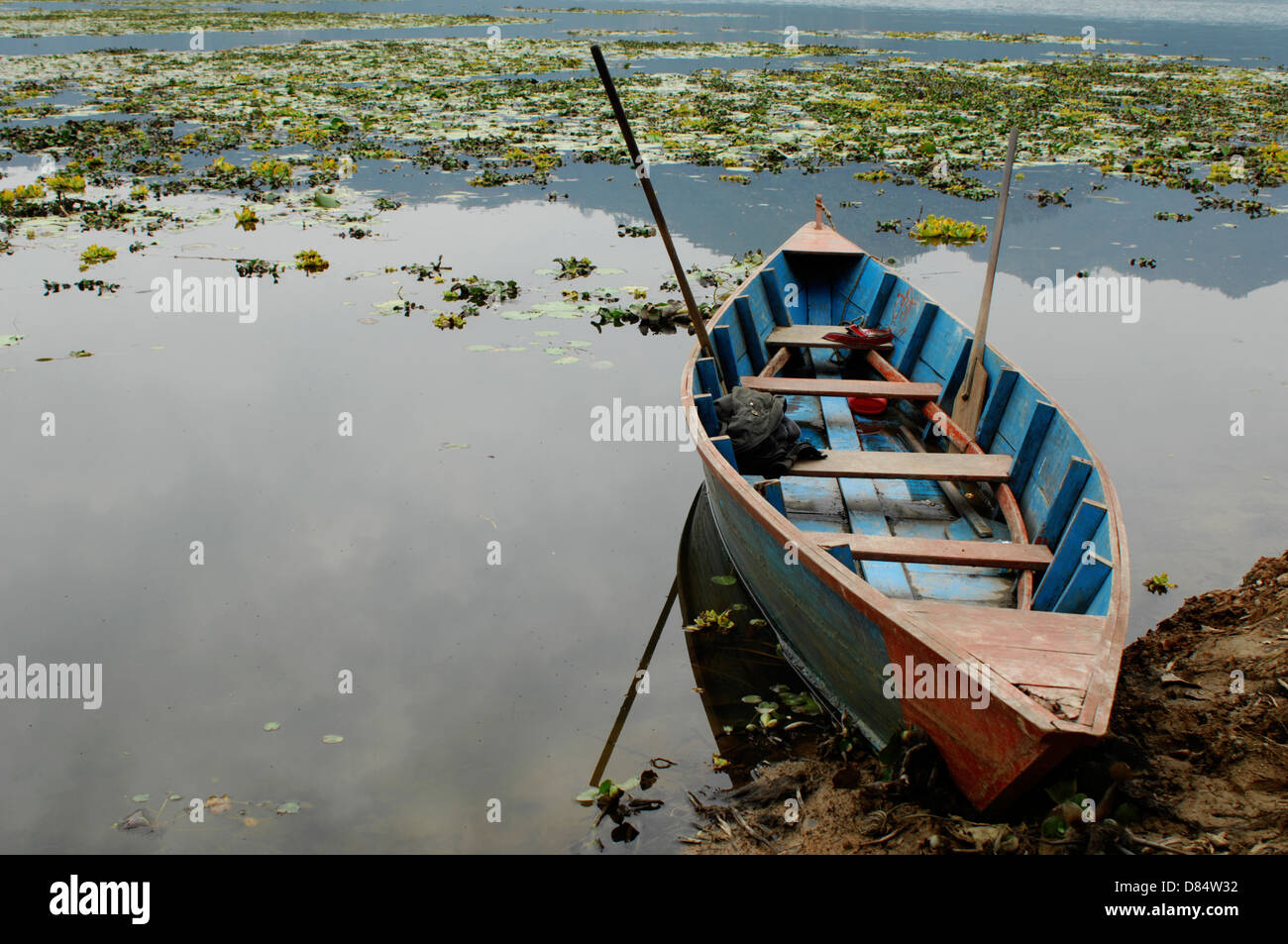 Holzboot auf Fewa Tal in Nepal Phokara Stockfoto