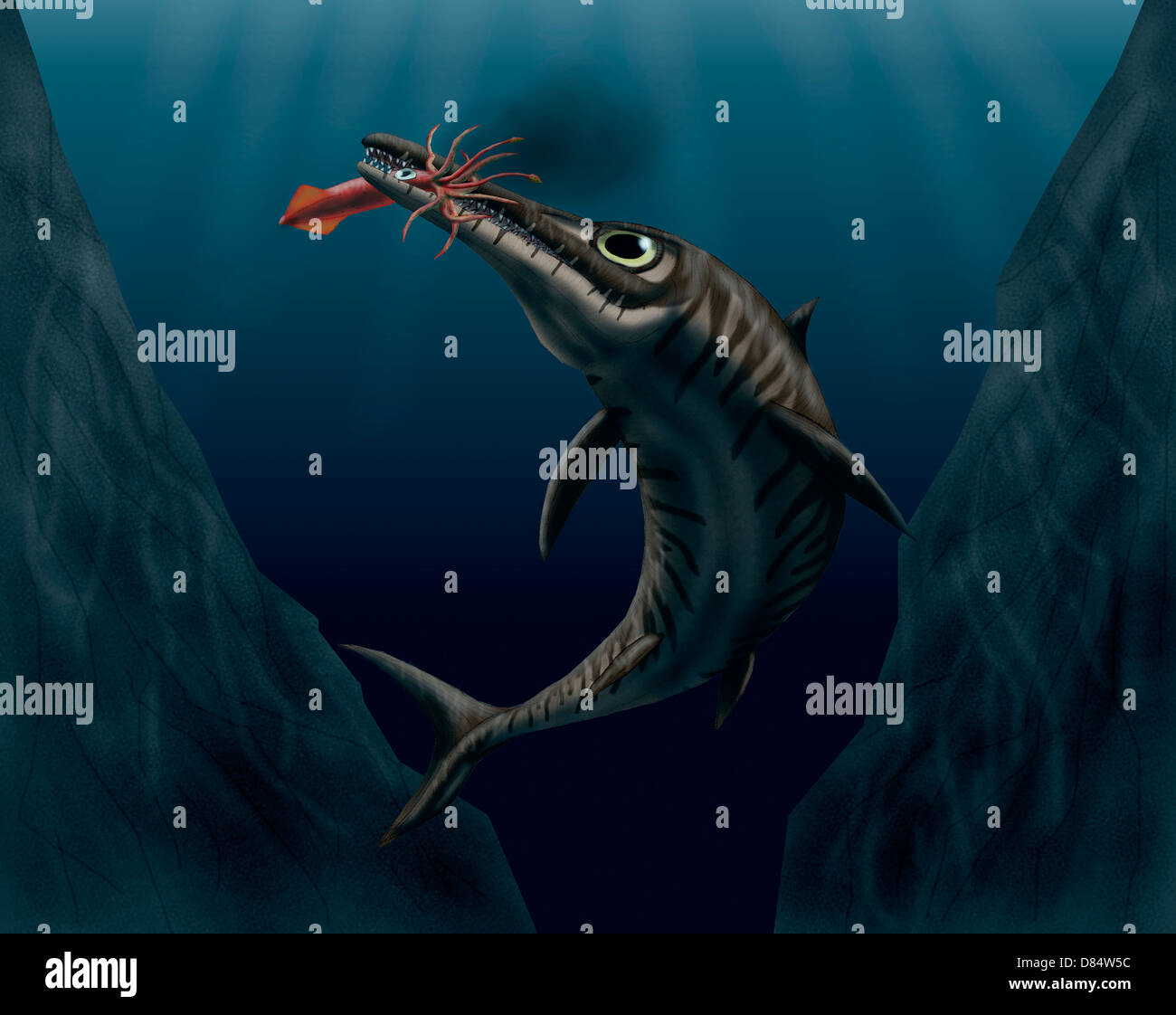 Eine Schnauze fängt ein Tintenfisch in der Tiefsee. Stockfoto